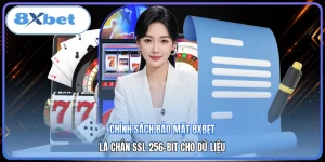 Chính Sách Bảo Mật 8XBET | Lá Chắn SSL 256-Bit Cho Dữ Liệu