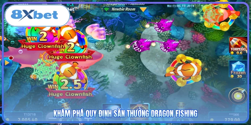 Khám phá quy định săn thưởng Dragon Fishing